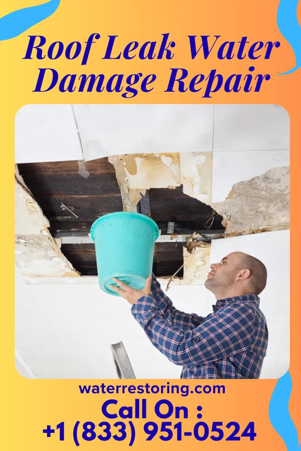Roof Leak Water Damage Repair in Clifford, ND